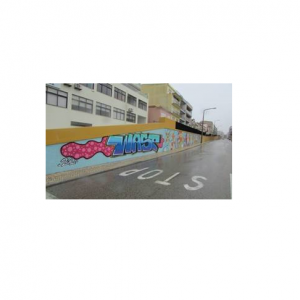 PSP Identificou Suspeitos De Fazerem Graffiti Em Vários Pontos Da Cidade Da Figueira Da Foz