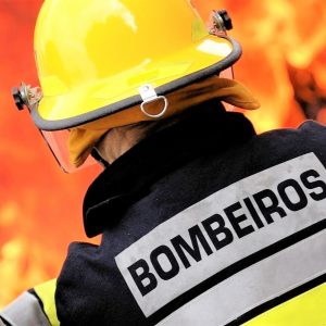 Engenheiro Acusado De 16 Crimes De Incêndio Florestal Na Região Centro