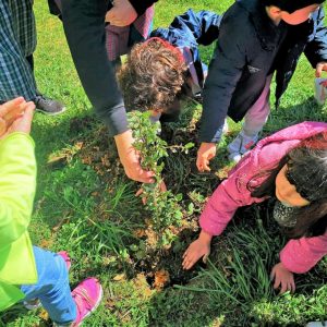 Crianças Do Jardim-de-infância De Samuel Ajudaram, Divertiram-se E Aprenderam A Plantar árvores