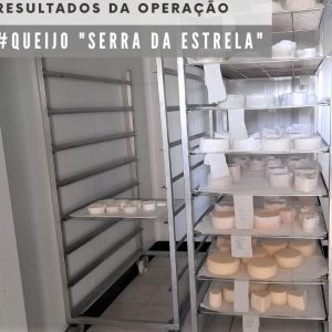 ASAE Encerrou Queijaria No Distrito De Coimbra Que Falsificava Queijo ‘Serra Da Estrela’