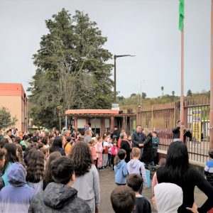 Escola Básica De Soure Hasteou Bandeira Verde Eco-Escolas