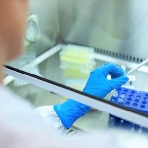 Empresa Immunethep De Cantanhede Viu Chumbada Candidatura A Financiamento Para Desenvolver Vacina Contra A Covid-19