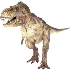 Descoberta Nova Pegada De Dinossauro Com 168 Milhões De Anos No Concelho De Pombal