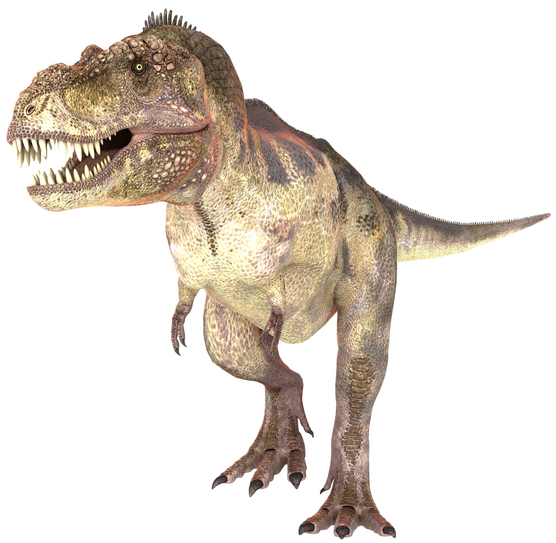Thumbnail Tiranossauro Rex 102305173 (1)