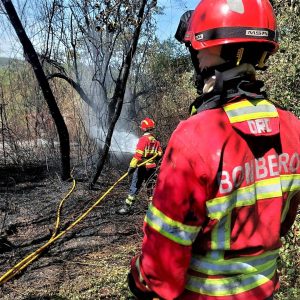Incêndio Florestal Foi Combatido Por Mais De 200 Operacionais No Concelho De Pombal