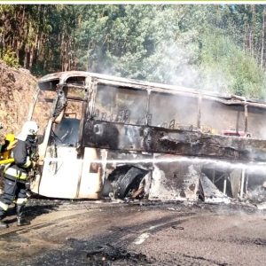 Autocarro Ardeu Na Totalidade E Provocou Fogo Florestal No Concelho De Vila Nova De Poiares