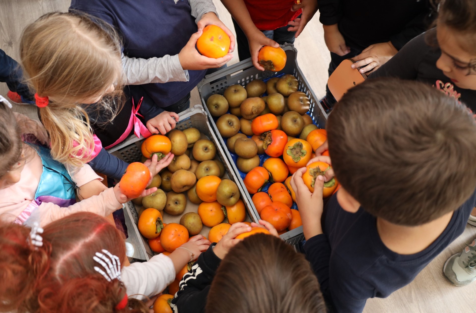 Programa Regime De Fruta Escolar 2023/2024 Já Começou Nas Escolas Do Concelho De Soure