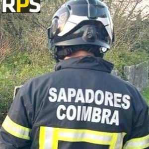 Homem Sofreu Ferimentos Graves Ao Ser Atropelado Por Comboio Na Adémia – Coimbra