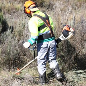 Governo Prolongou Prazo Para Limpeza De Matas E Terrenos Até 31 De Maio