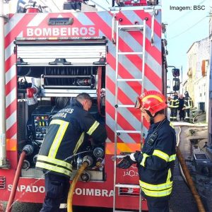 Incêndio No Concelho De Coimbra Matou 30 Galinhas E Destruiu Totalmente Um Anexo