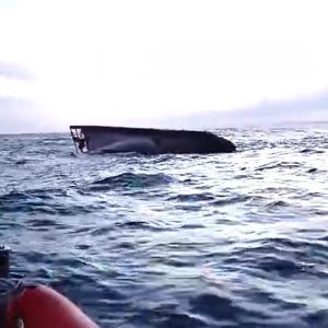 Naufrágio De Barco De Pesca Da Figueira Da Foz Provocou 6 Mortos